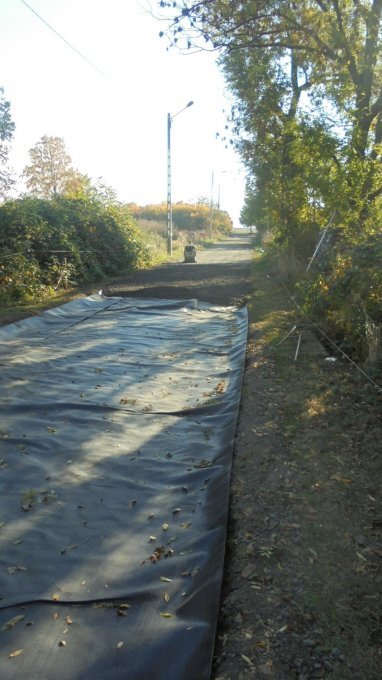 drogi rolne w Mikołajowicach