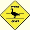 ptasia00