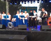 Henrykalia 2019