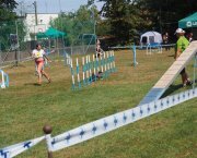 pieski
