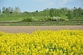 wiosna0